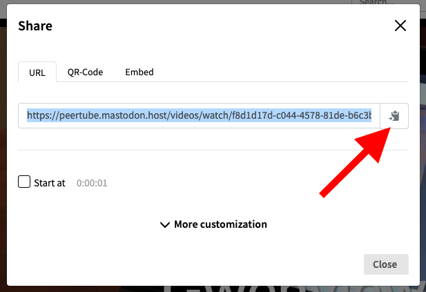 Una schermata che mostra un popup con il pulsante “Copy” (“Copia”) evidenziato da una freccia rossa.